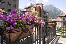 외관 Foresteria Solosonno