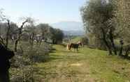 Fitness Center 5 Fattoria di Fubbiano