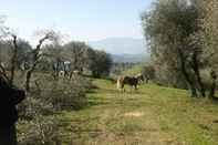 Fitness Center Fattoria di Fubbiano