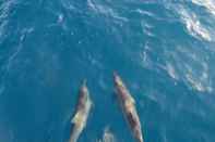 Swimming Pool Yacht Fascination Maldives