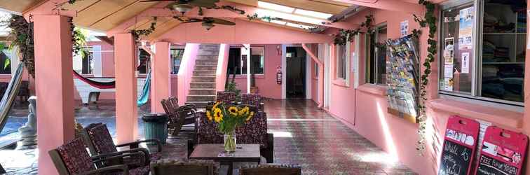 Lobi Dolphins Beach House - Hostel