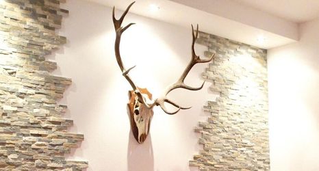 大堂 2 first mountain Hotel Montafon