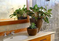 Lain-lain 4 Pasteur Beautiful Luxurious House