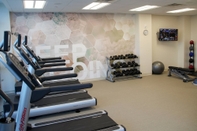 Fitness Center SpringHill Suites Baltimore White Marsh/Middle River