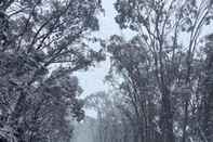 Swimming Pool Feathertop Alpine Lodge