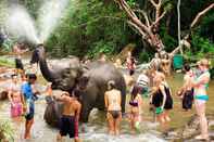 Kolam Renang Bed Bike Hostel