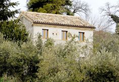 Exterior 2 Agriturismo Il Gelso Antico
