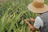 Ruang untuk Umum Herdade do Ananás