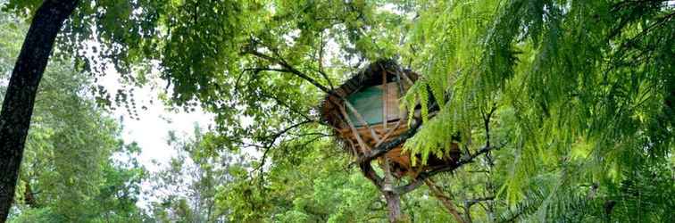 Bangunan Tree house sigiri queens rest