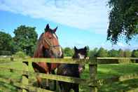 Nearby View and Attractions Royal Umpire Caravan Park