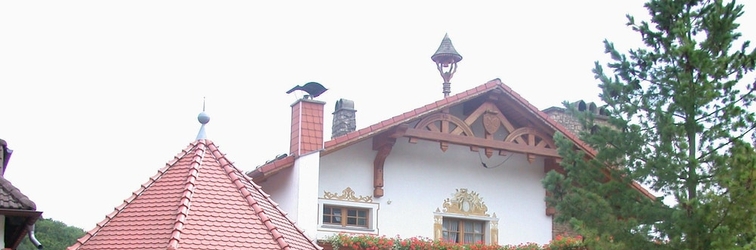 Exterior Harzhotel Zum Mühlenberg