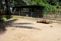 Trung tâm thể thao Phang Nga Farmstay