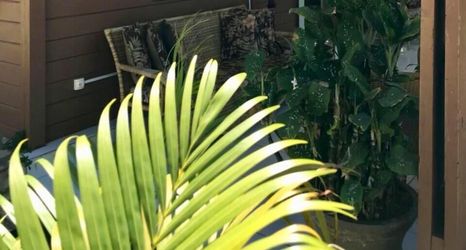 外觀 2 Pousada do Bita - LN