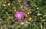 Common Space 6 Burren Bushcraft - Camping & Adventures