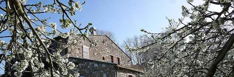 Exterior La Cerreta - Terme di Sassetta