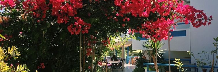 Luar Bangunan Grace Studios & Apartments