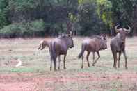 Pusat Kecergasan Harties Is Africa