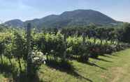 Nearby View and Attractions 7 Terre Bianche agriturismo