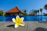 Swimming Pool West Break Bali Medewi