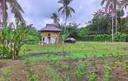 Khu vực công cộng 3 Emperor's Organic Farm