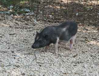 Bên ngoài 2 Agriturismo Kelle Terre