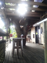 ล็อบบี้ 4 Treehouse Bungalow