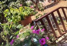 Lain-lain 5 Telemen'in Evi Pansiyon