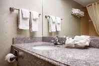 In-room Bathroom Relax Inn - Batavia