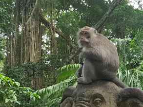 Bangunan 4 Buda Cottage Ubud