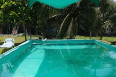 泳池 Hostal Mi Casa en la Playa - Hostel