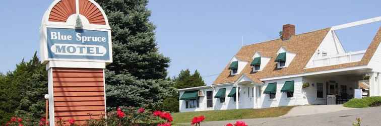 Exterior Blue Spruce Motel & Townhouses