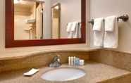 In-room Bathroom 5 Springhill Suites by Marriott Thatcher