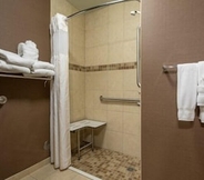In-room Bathroom 6 Hilton Garden Inn Sioux City Riverfront
