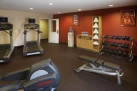 Fitness Center TownePlace Suites by Marriott Houston North / Shenandoah