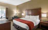 Bedroom 7 Comfort Inn & Suites Cedar Hill Duncanville