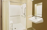 In-room Bathroom 2 Microtel Inn & Suites by Wyndham Prairie du Chien