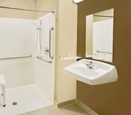 In-room Bathroom 2 Microtel Inn & Suites by Wyndham Prairie du Chien