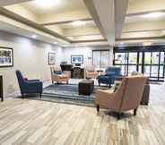 Lobby 6 Comfort Inn and Suites Near Medical Center