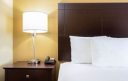 Phòng ngủ 5 La Quinta Inn & Suites by Wyndham Angleton