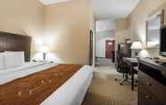 Kamar Tidur 4 Comfort Suites Vestal near University