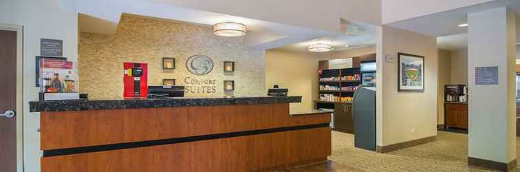 Lobby Comfort Suites Grayslake near Libertyville North