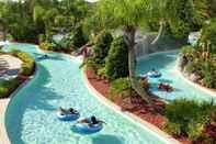 Swimming Pool Hilton Orlando