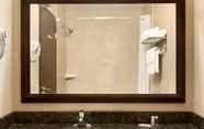 In-room Bathroom 5 Days Inn by Wyndham Innisfail