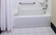 In-room Bathroom 5 Fairfield Inn & Suites by Marriott New Buffalo