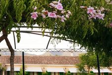 외관 Son Corb Boutique Hotel