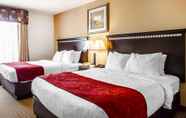 ห้องนอน 6 Comfort Suites Jackson-Cape Girardeau