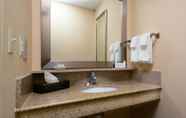 In-room Bathroom 6 SpringHill Suites by Marriott Lynchburg Airport/University Area