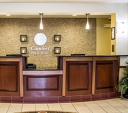 Lobi 5 Comfort Inn & Suites Kent - University Area