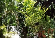 その他 5 Residencial Uno Hostel