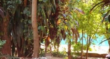 その他 2 Residencial Uno Hostel